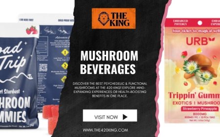 Why Mushroom Tinctures Are Trending in Florida | The 420 King