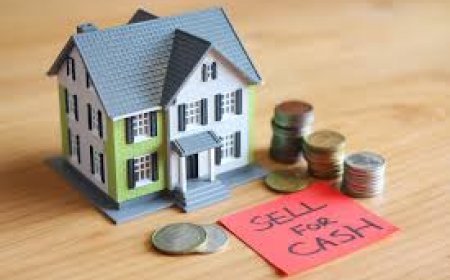 Tailored Solutions How Our Focused Process Meets Your Real Estate Needs