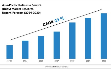 Asia-Pacific Data as a Service (DaaS) Market Volume, Trends and Growth Outlook Report 2030