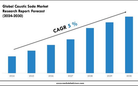 Caustic Soda Market Charts, Graphs and Forecast Report 2030