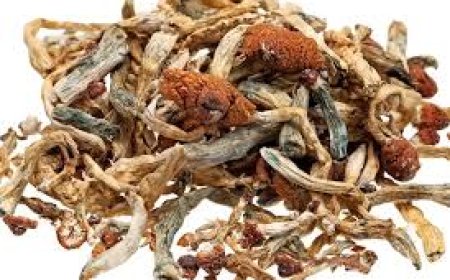 Why People Prefer To Use Magic Mushroom Dispensary?