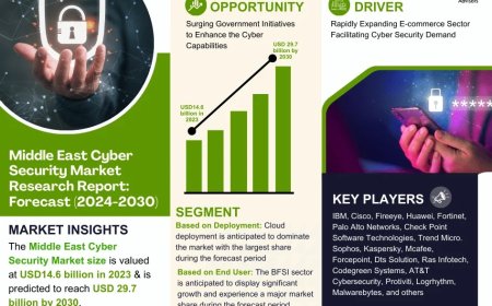 Middle East Cyber Security Industry Report 2024–2030: Growth, Trends & Key Players