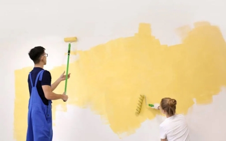 Pro Painters in San Jose | Elegant Custom Painting Services