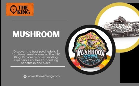 Your Ultimate Guide to Mushroom Edibles in Florida