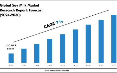 Soy Milk Market Charts, Graphs and Forecast Report 2030