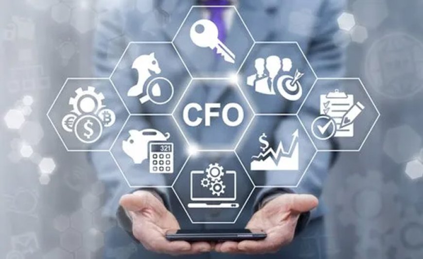Contact the Best Leading Virtual CFO Service Provider – Caankur