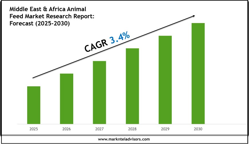 Middle East & Africa Animal Feed Market Outlook 2030 Trends, Growth & Demand