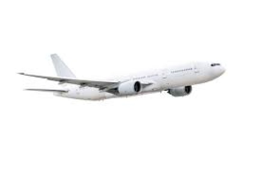 Delayed Baggage 72+ Hours? Dial American Airlines Phone Number