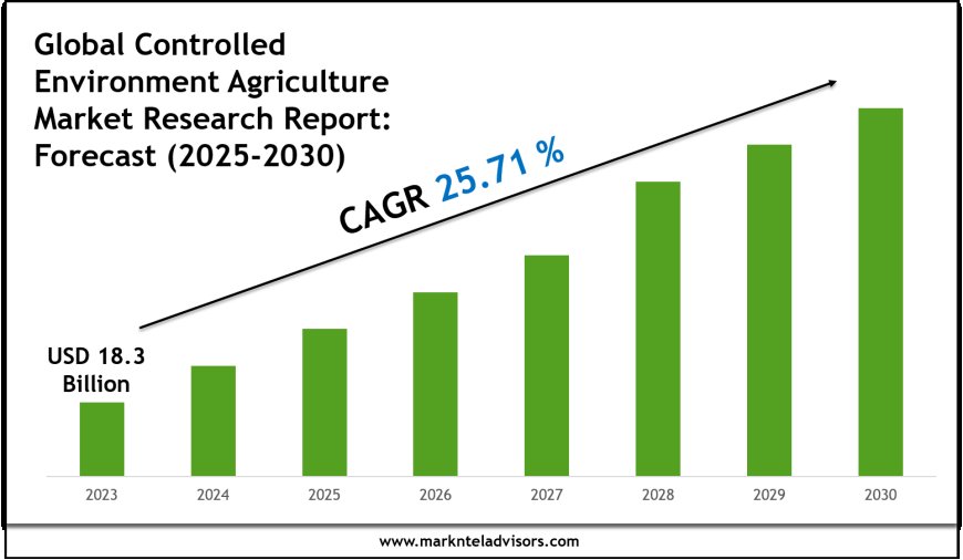 Controlled Environment Agriculture Market Outlook 2030 Trends, Growth & Demand