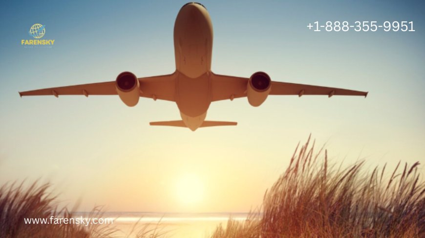 Iceland Air Customer Services Number? Get A Solution in A Minute!