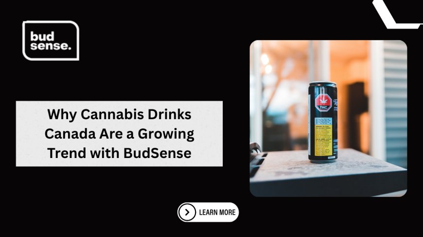 Why Cannabis Drinks Canada Are a Growing Trend with BudSense