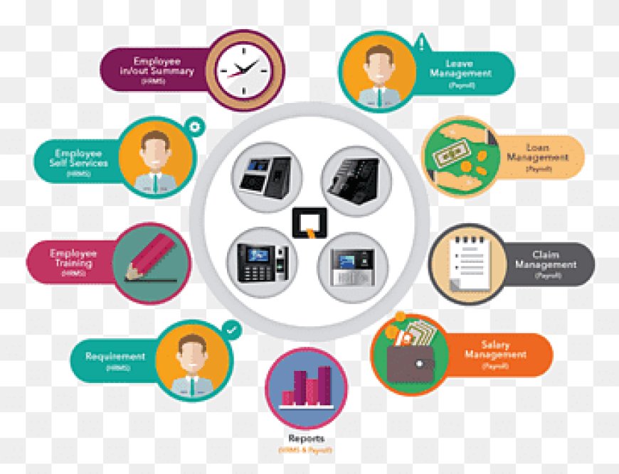 Free Attendance & Payroll Software for Small Business