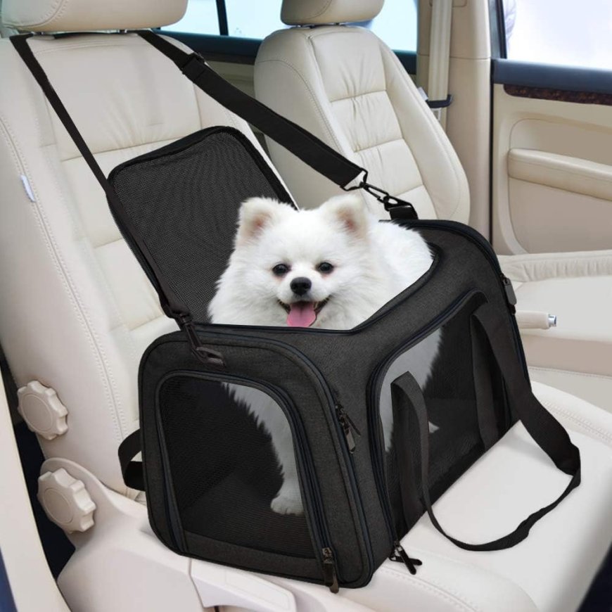 Why Every Pet Parent Needs a Reliable Puppy Car Carrier