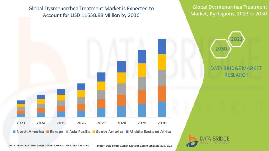 Dysmenorrhea Treatment Market: Size, Share, and Growth Forecast to 2030