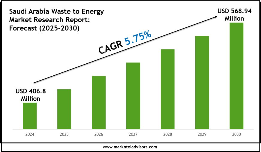 2025–2030 Saudi Arabia Waste to Energy Market Snapshot: Growth, Value & Forecast