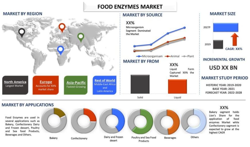 Global Food Enzymes Market: Trends and Growth Forecast (2021-2027) | UnivDatos