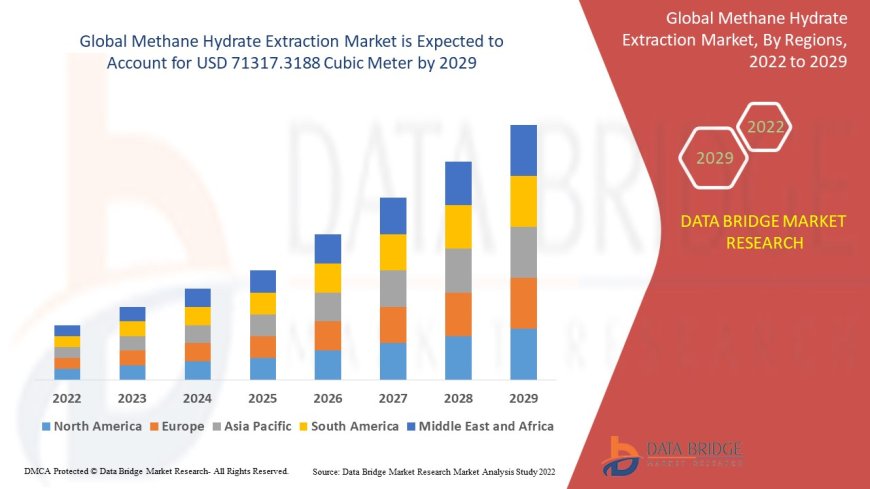 Methane Hydrate Extraction Market Trends, Insights and Future Outlook