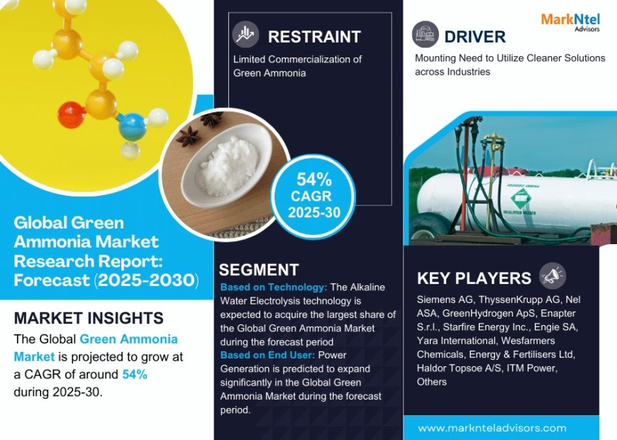 Green Ammonia Market Trends 2025–2030: Outlook, Value & Key Companies