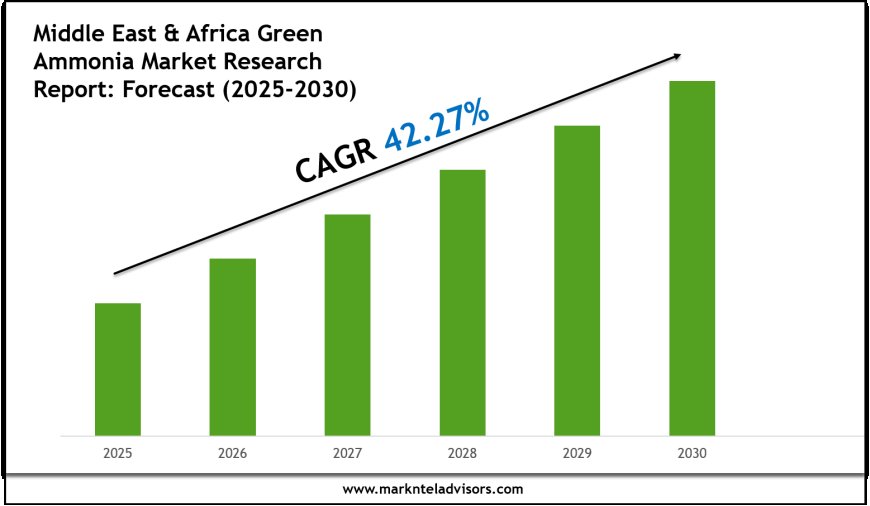2025–2030 Middle East & Africa Green Ammonia Market Landscape: Growth, Share & Opportunities