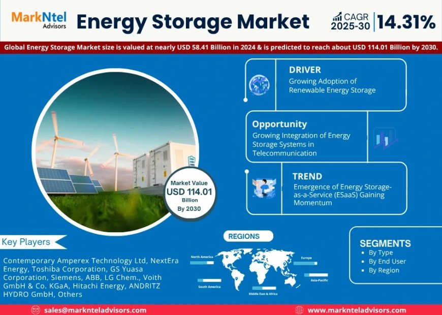 Energy Storage Market Share & Forecast 2025–2030: Insights & Drivers