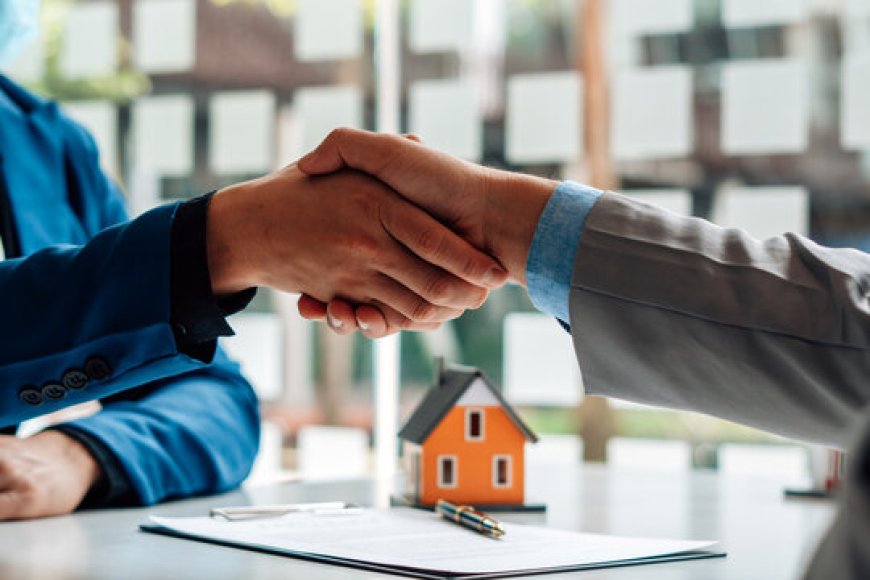 Real Estate Companies in Pakistan for Peace of Mind