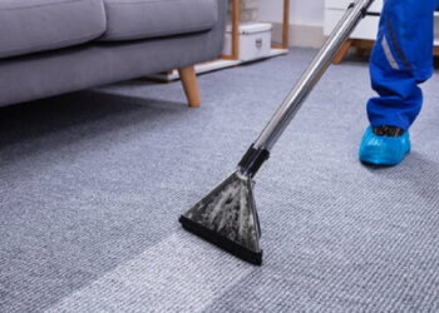 Carpet Cleaning Services That Are Safe for Pets