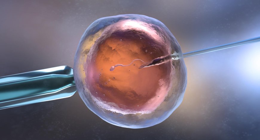 Fellowship in Embryology in India: Setting up of an IVF Lab