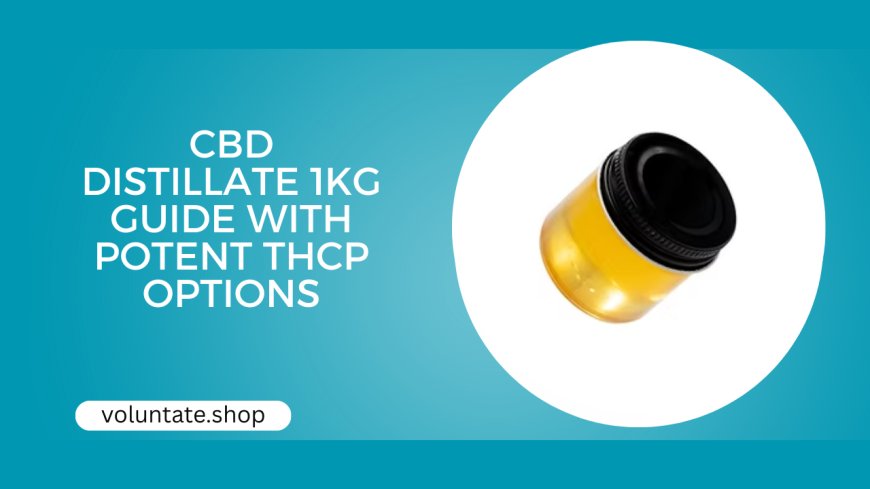 CBD Distillate 1KG Bulk Guide with THCp Insights