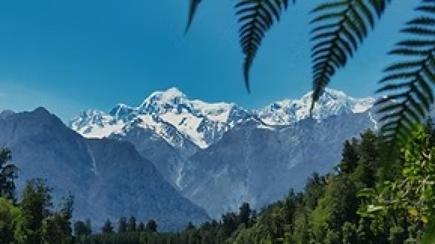 Need More Time? Visitor Visa Extension Options in New Zealand
