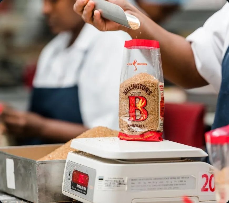 Check Out the Best Organic Special Sugars: From Muscovado to Coconut Palm