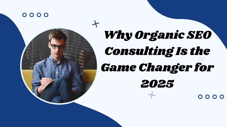 Why Organic SEO Consulting Is the Game Changer for 2025