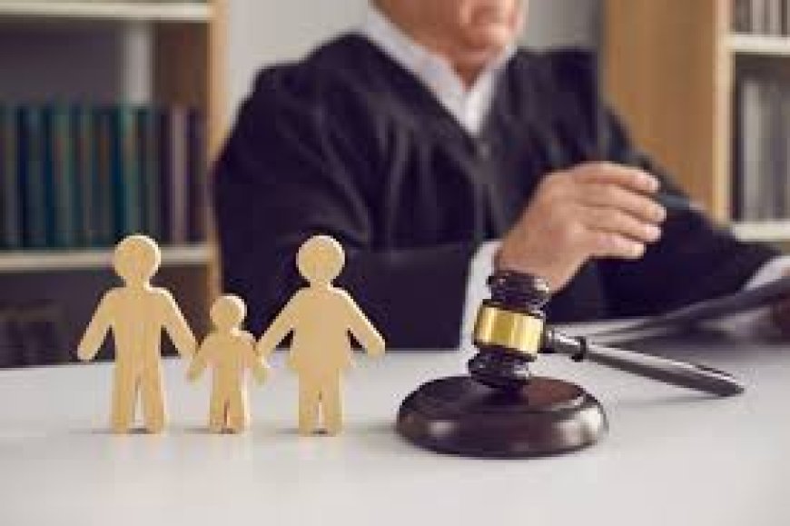 How to Choose the Best Family Lawyer?