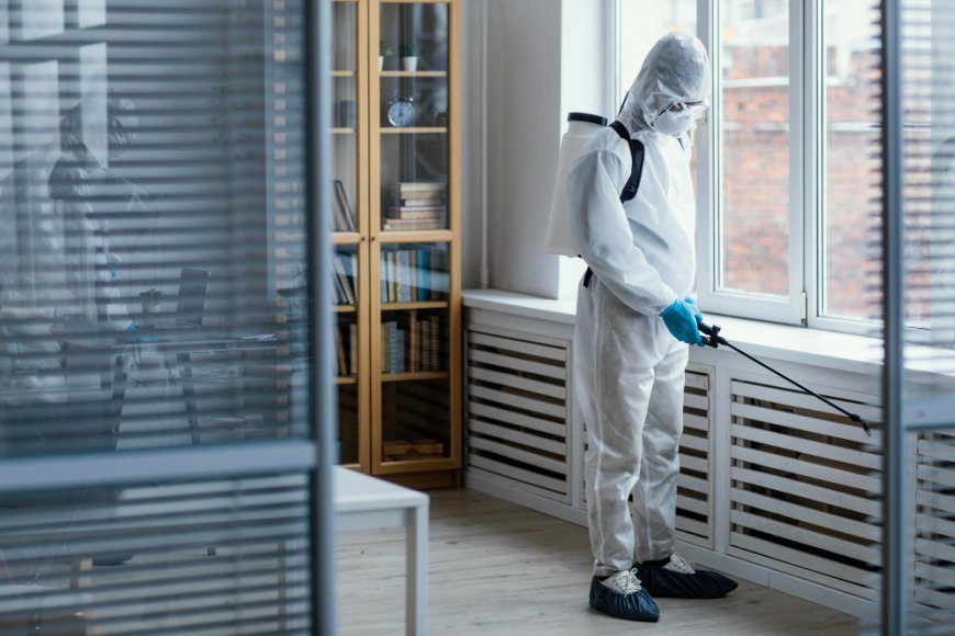 Industrial and Termite Pest Control in Buford Protecting Your Facility from Infestation