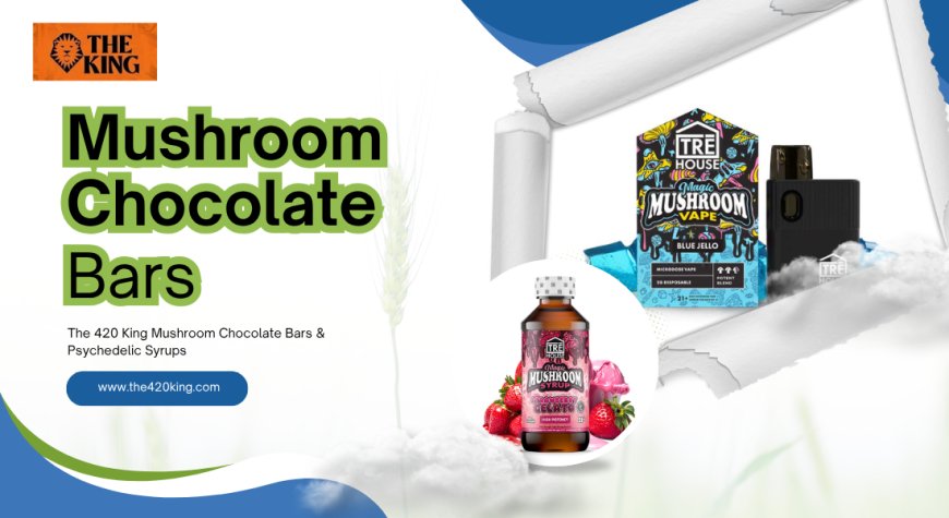 Why Mushroom Chocolate Bars Are the Everyday Trip You Didn’t Know You Needed | The 420 King