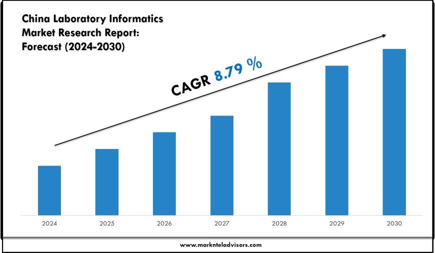 China Laboratory Informatics Market Research 2024–2030: Demand Drivers & Projections