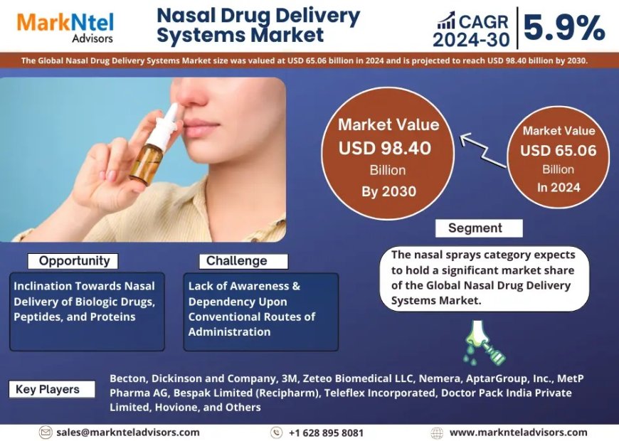 Nasal Drug Delivery Systems Market Share & Forecast 2024–2030: Insights & Drivers