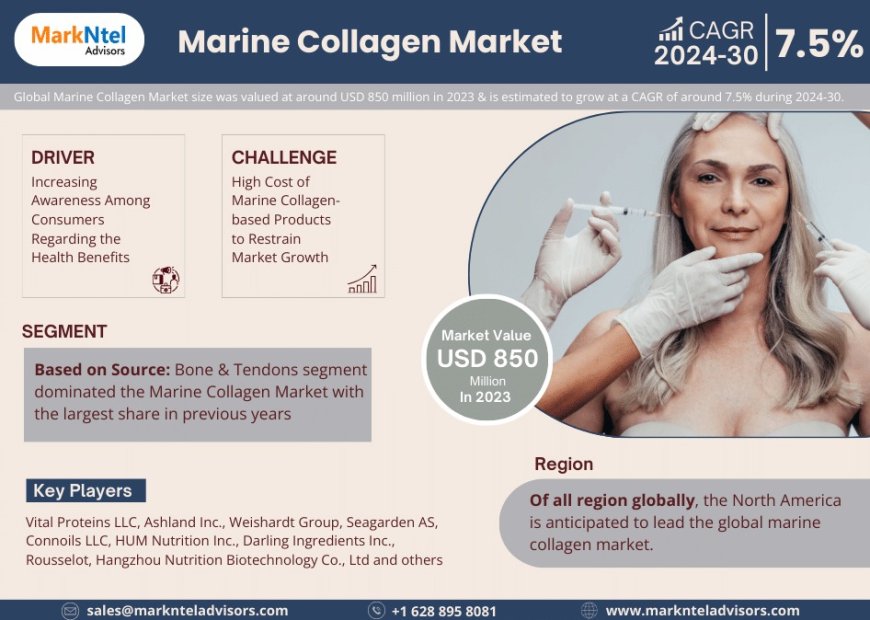Marine Collagen Market Share & Forecast 2024–2030: Insights & Drivers