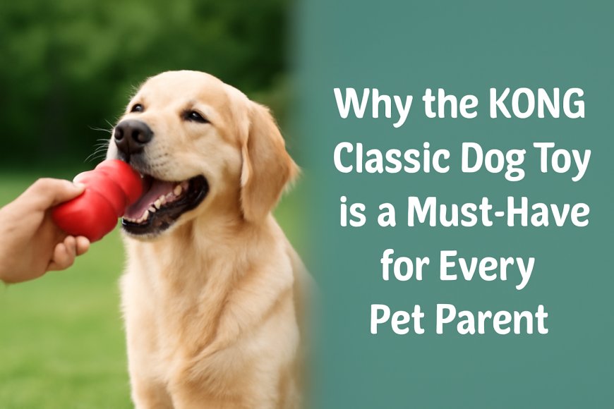 Why the KONG Classic Dog Toy is a Must-Have for Every Pet Parent