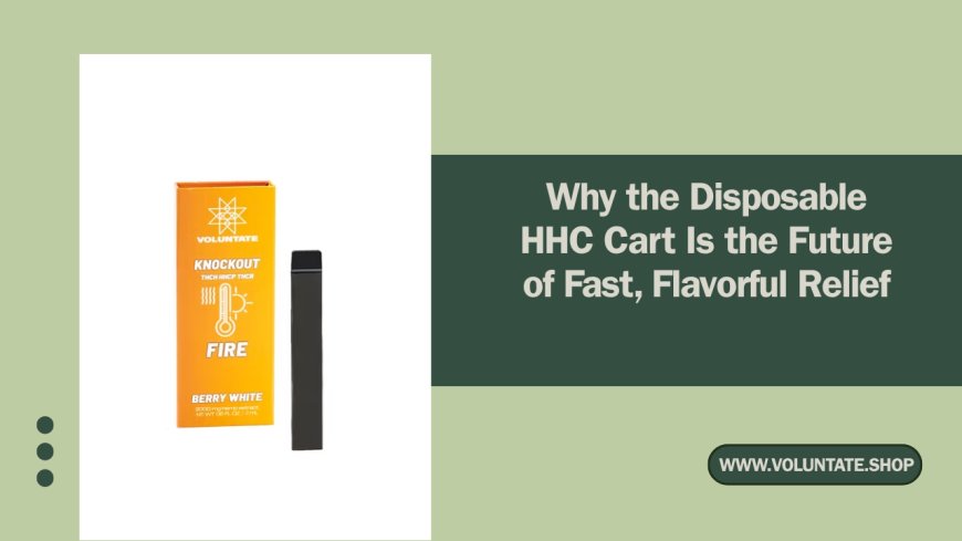 Why the Disposable HHC Cart Is the Future of Fast, Flavorful Relief