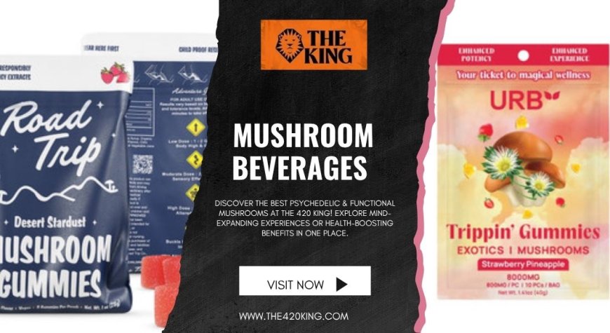 Why Mushroom Tinctures Are Trending in Florida | The 420 King