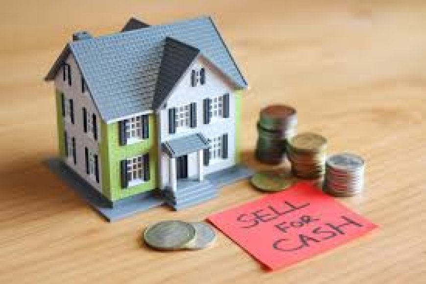 Tailored Solutions How Our Focused Process Meets Your Real Estate Needs