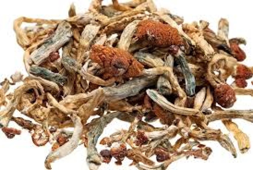 Why People Prefer To Use Magic Mushroom Dispensary?