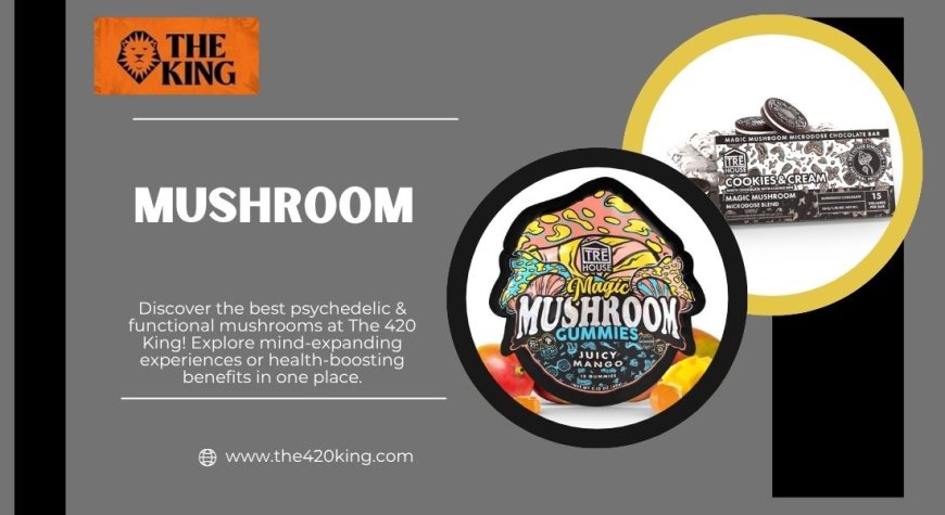 Your Ultimate Guide to Mushroom Edibles in Florida